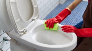 3 Cara Membersihkan Dudukan Toilet