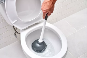 Cara Menggunakan Plunger Untuk Menyedot Kotoran Di WC
